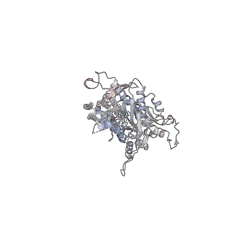 25144_7sim_B_v1-0
Structure of positive allosteric modulator-free active human calcium-sensing receptor