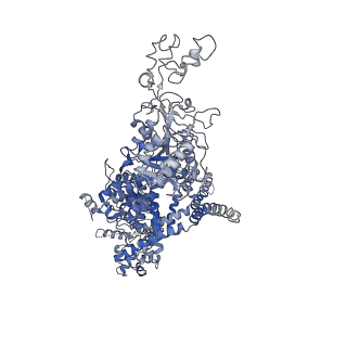 40497_8si3_D_v1-1
Cryo-EM structure of TRPM7 in GDN detergent in apo state