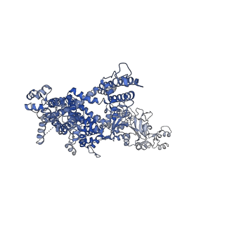 40501_8si7_A_v1-1
Cryo-EM structure of TRPM7 in GDN detergent in complex with inhibitor VER155008 in closed state