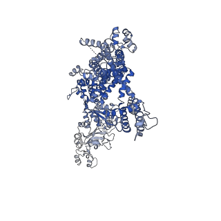 40501_8si7_B_v1-1
Cryo-EM structure of TRPM7 in GDN detergent in complex with inhibitor VER155008 in closed state
