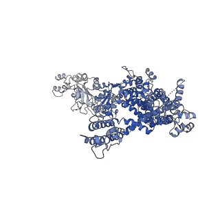 40501_8si7_C_v1-1
Cryo-EM structure of TRPM7 in GDN detergent in complex with inhibitor VER155008 in closed state