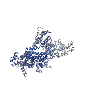 40502_8si8_A_v1-1
Cryo-EM structure of TRPM7 N1098Q mutant in GDN detergent in complex with inhibitor VER155008 in closed state