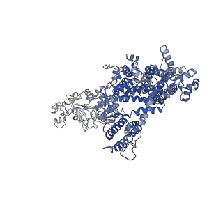 40502_8si8_C_v1-1
Cryo-EM structure of TRPM7 N1098Q mutant in GDN detergent in complex with inhibitor VER155008 in closed state