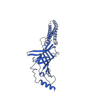 40503_8si9_C_v1-2
Human GABAA receptor alpha1-beta2-gamma2 subtype in complex with GABA plus allopregnanolone