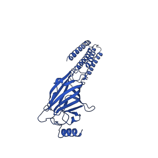 40503_8si9_D_v1-2
Human GABAA receptor alpha1-beta2-gamma2 subtype in complex with GABA plus allopregnanolone