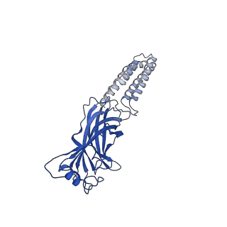 40503_8si9_E_v1-2
Human GABAA receptor alpha1-beta2-gamma2 subtype in complex with GABA plus allopregnanolone
