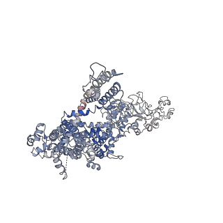 40504_8sia_A_v1-1
Cryo-EM structure of TRPM7 N1098Q mutant in GDN detergent in complex with inhibitor NS8593 in closed state