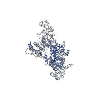 40504_8sia_D_v1-1
Cryo-EM structure of TRPM7 N1098Q mutant in GDN detergent in complex with inhibitor NS8593 in closed state