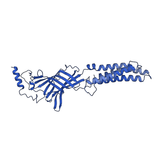 40506_8sid_C_v1-1
Human GABAA receptor alpha1-beta2-gamma2 subtype in complex with GABA plus dehydroepiandrosterone sulfate