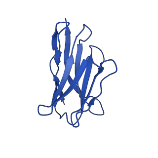 40506_8sid_J_v1-1
Human GABAA receptor alpha1-beta2-gamma2 subtype in complex with GABA plus dehydroepiandrosterone sulfate