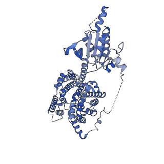 40507_8sie_D_v1-1
Pendrin in complex with bicarbonate