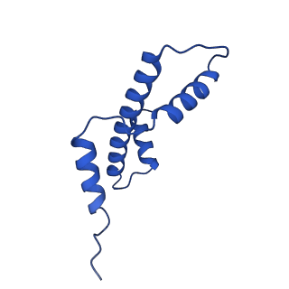 40522_8siy_C_v1-3
Origin Recognition Complex Associated (ORCA) protein bound to H4K20me3-nucleosome