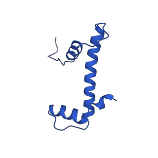 40522_8siy_D_v1-3
Origin Recognition Complex Associated (ORCA) protein bound to H4K20me3-nucleosome