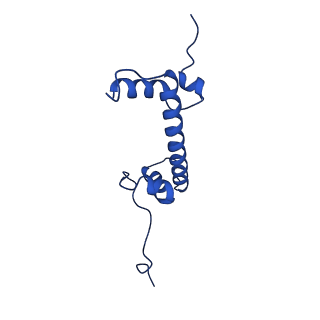 40522_8siy_E_v1-3
Origin Recognition Complex Associated (ORCA) protein bound to H4K20me3-nucleosome