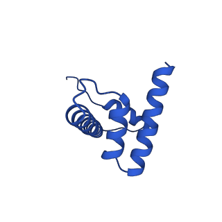 40522_8siy_F_v1-3
Origin Recognition Complex Associated (ORCA) protein bound to H4K20me3-nucleosome