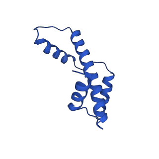 40522_8siy_G_v1-3
Origin Recognition Complex Associated (ORCA) protein bound to H4K20me3-nucleosome
