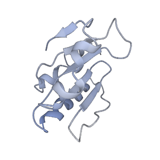 10212_6sj6_9_v1-2
Cryo-EM structure of 50S-RsfS complex from Staphylococcus aureus