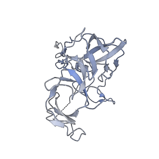 10212_6sj6_D_v1-2
Cryo-EM structure of 50S-RsfS complex from Staphylococcus aureus