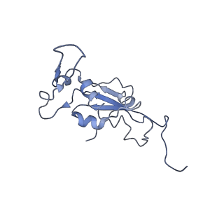 10212_6sj6_M_v1-2
Cryo-EM structure of 50S-RsfS complex from Staphylococcus aureus