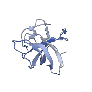 10212_6sj6_N_v1-2
Cryo-EM structure of 50S-RsfS complex from Staphylococcus aureus