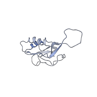 10212_6sj6_P_v1-2
Cryo-EM structure of 50S-RsfS complex from Staphylococcus aureus