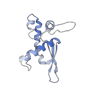 10212_6sj6_Q_v1-2
Cryo-EM structure of 50S-RsfS complex from Staphylococcus aureus
