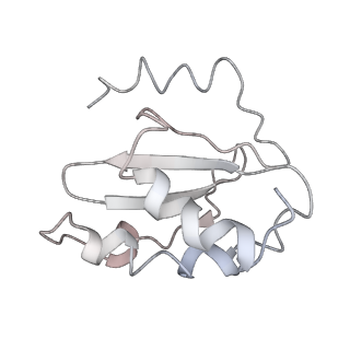 10212_6sj6_R_v1-2
Cryo-EM structure of 50S-RsfS complex from Staphylococcus aureus