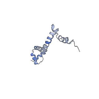 10212_6sj6_T_v1-2
Cryo-EM structure of 50S-RsfS complex from Staphylococcus aureus