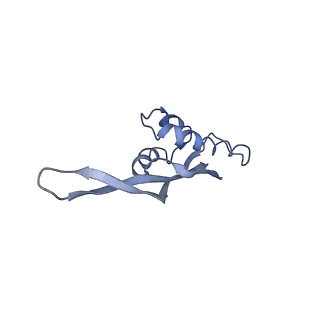10212_6sj6_V_v1-2
Cryo-EM structure of 50S-RsfS complex from Staphylococcus aureus