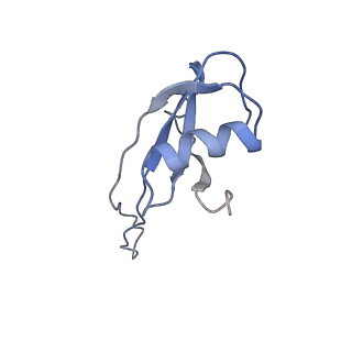 10212_6sj6_W_v1-2
Cryo-EM structure of 50S-RsfS complex from Staphylococcus aureus
