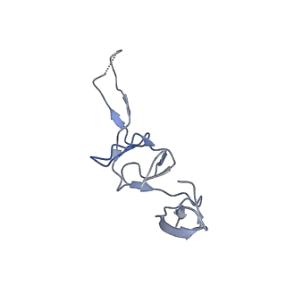 10212_6sj6_X_v1-2
Cryo-EM structure of 50S-RsfS complex from Staphylococcus aureus