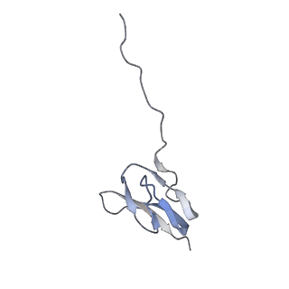 10212_6sj6_Z_v1-2
Cryo-EM structure of 50S-RsfS complex from Staphylococcus aureus