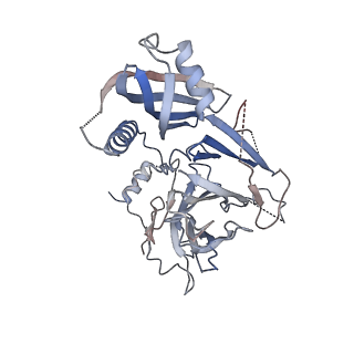 10213_6sj7_A_v1-1
Structure of the human DDB1-DDA1-DCAF15 E3 ubiquitin ligase bound to RBM39 and Indisulam