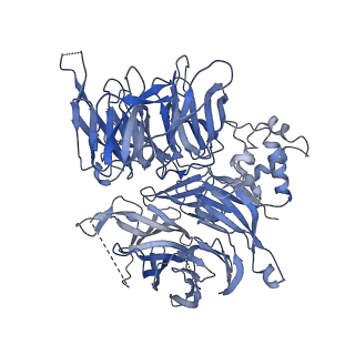 10213_6sj7_B_v1-1
Structure of the human DDB1-DDA1-DCAF15 E3 ubiquitin ligase bound to RBM39 and Indisulam