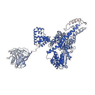 10214_6sjb_B_v1-1
Cryo-EM structure of the RecBCD Chi recognised complex