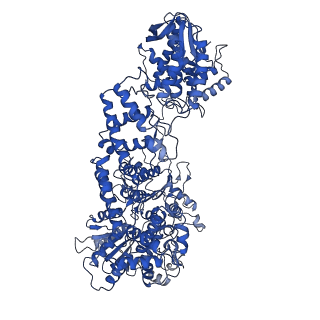10214_6sjb_C_v1-1
Cryo-EM structure of the RecBCD Chi recognised complex