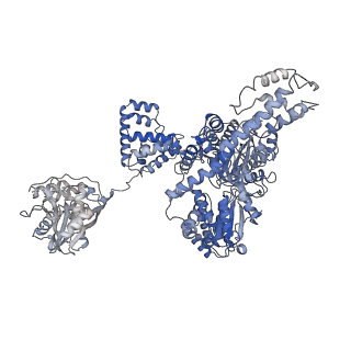 10215_6sje_B_v1-1
Cryo-EM structure of the RecBCD Chi partially-recognised complex