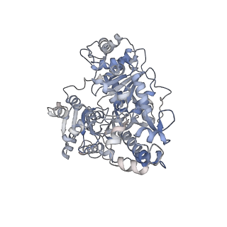 10215_6sje_D_v1-1
Cryo-EM structure of the RecBCD Chi partially-recognised complex