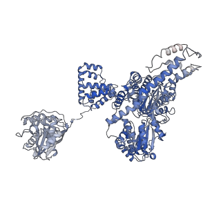 10216_6sjf_B_v1-1
Cryo-EM structure of the RecBCD Chi unrecognised complex