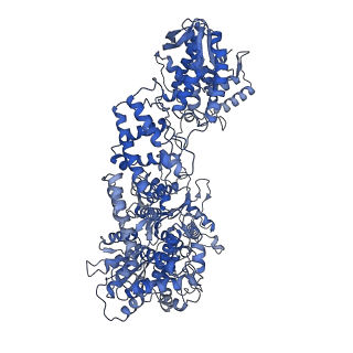 10216_6sjf_C_v1-1
Cryo-EM structure of the RecBCD Chi unrecognised complex