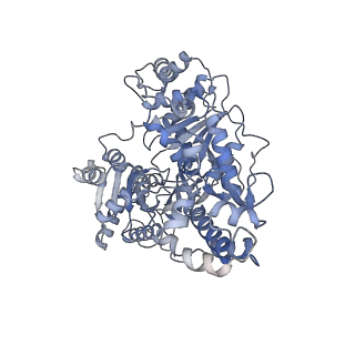 10216_6sjf_D_v1-1
Cryo-EM structure of the RecBCD Chi unrecognised complex