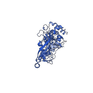 10218_6sjl_E_v1-1
Structure of the Tle1 effector bound to the VgrG spike from the Type 6 secretion system