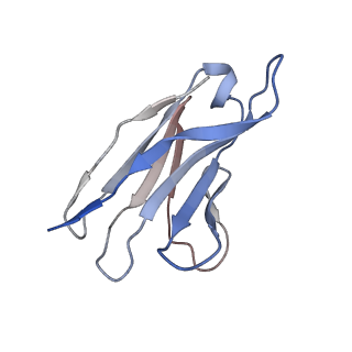 25149_7sj0_L_v1-0
Antibody A7V3 bound to N-terminal domain of the spike