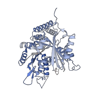 25159_7sj9_K_v1-0
13pf E254A microtubule from recombinant human tubulin decorated with EB3