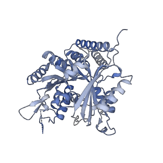 25160_7sja_C_v1-0
Undecorated 13pf E254N microtubule from recombinant human tubulin