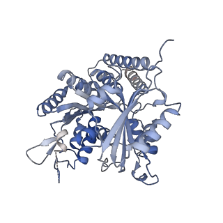 25160_7sja_L_v1-0
Undecorated 13pf E254N microtubule from recombinant human tubulin