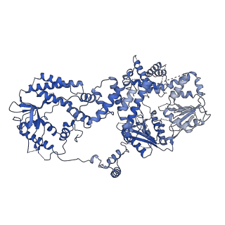 25164_7sjr_A_v1-2
Cryo-EM structure of AdnA-AdnB(W325A) in complex with DNA and AMPPNP
