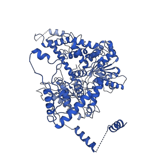 25164_7sjr_B_v1-2
Cryo-EM structure of AdnA-AdnB(W325A) in complex with DNA and AMPPNP
