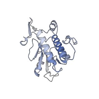 10223_6skf_Ab_v1-1
Cryo-EM Structure of T. kodakarensis 70S ribosome