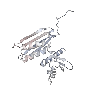 10223_6skf_Ac_v1-1
Cryo-EM Structure of T. kodakarensis 70S ribosome